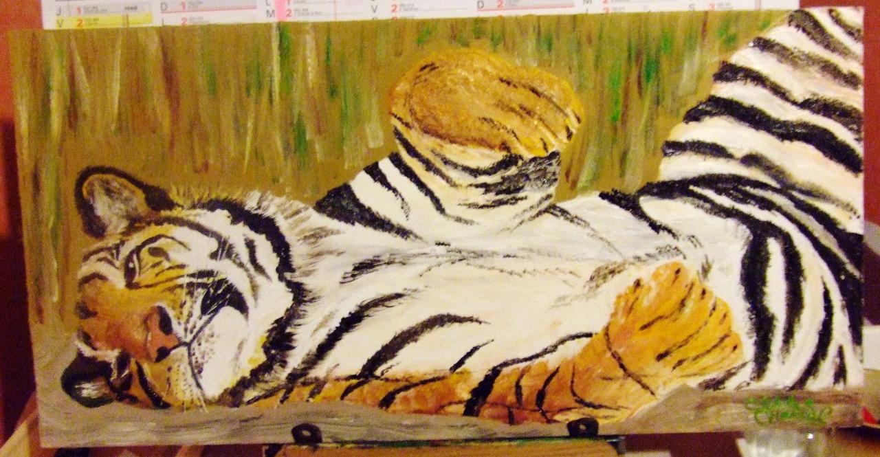 Tigre allongé