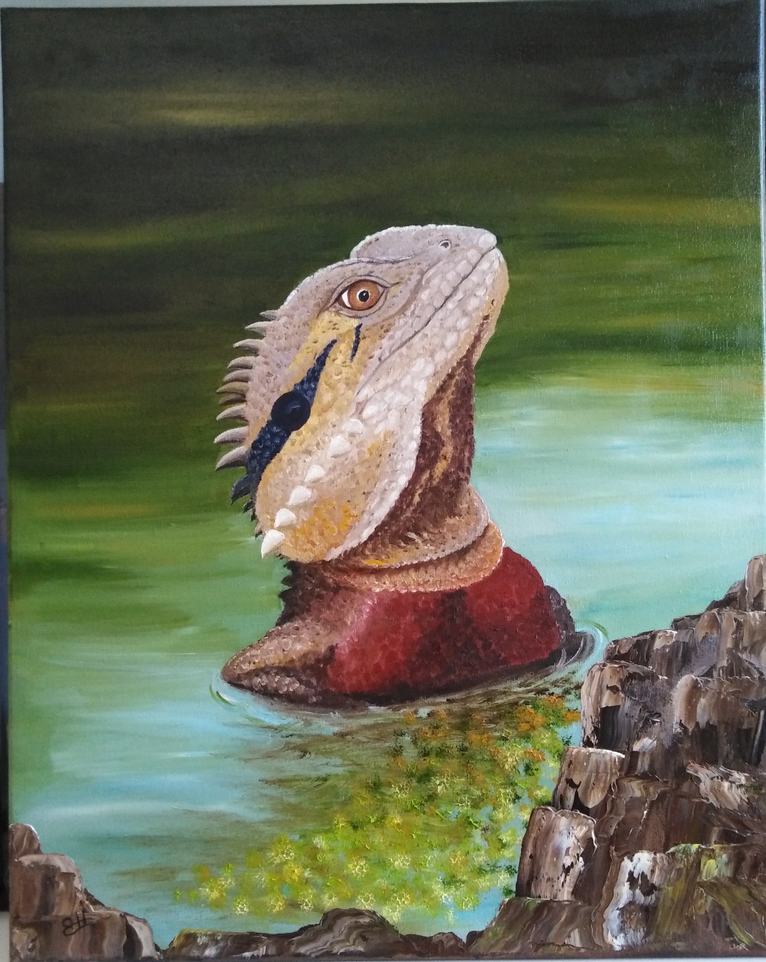 Iguane au Bain