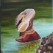 Iguane au Bain